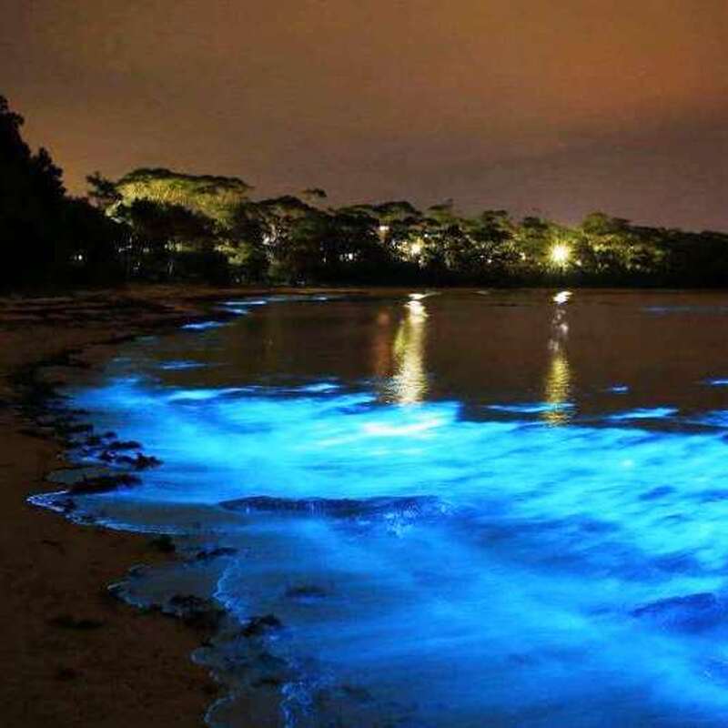 モンテゴベイ発　ルミナスラグーンきらめく水上クルーズ