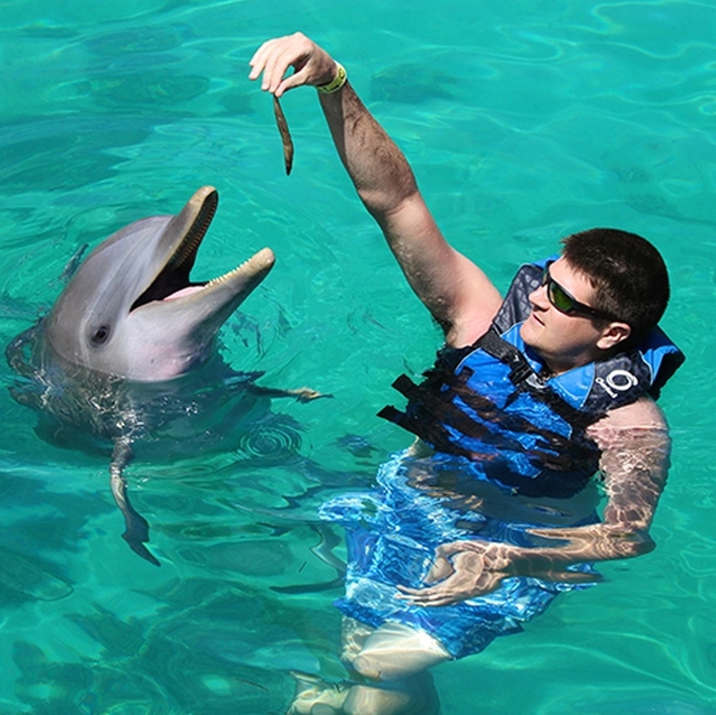 ナッソー　ブルーラグーンアイランド往復クルーズ付き　アクティビティプラン