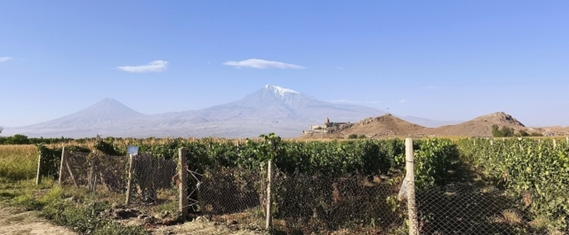 エレバン発着　アララト地方の修道院とアルメニアワイナリー訪問
