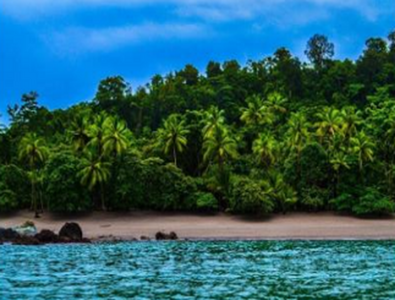 サンホセ発　生物多様性、平和、そして自然の楽園のコスタリカへ