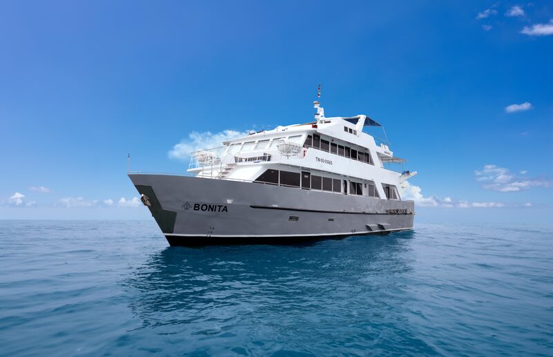 キト発　クルーズ船で出会う生命の楽園ガラパゴス諸島ツアー