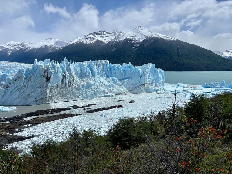ブエノスアイレス発　エル・カラファテ・エル・チャルテン・パイネ国立公園周遊8日間