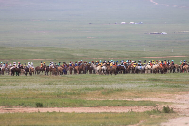 2026年7月10日・11日・12日・13日 限定　ウランバートル発着　ナーダム競馬観戦ツアー
