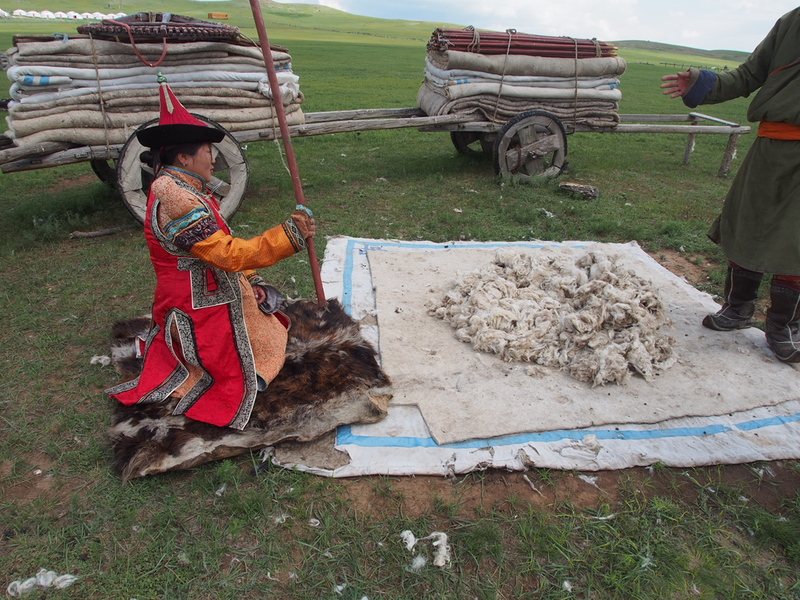 ウランバートル発着　モンゴル鉄道とノマディックショーを楽しむ日帰りツアー