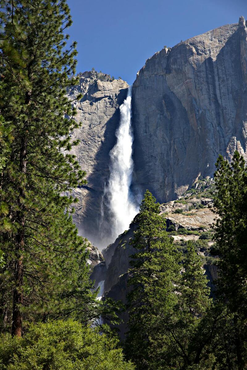 サンフランシスコ発　世界遺産ヨセミテ国立公園1日ツアー