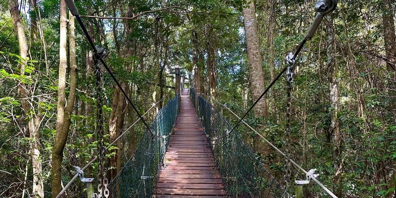 ゴールドコースト発　世界遺産ラミントン国立公園1日ツアー