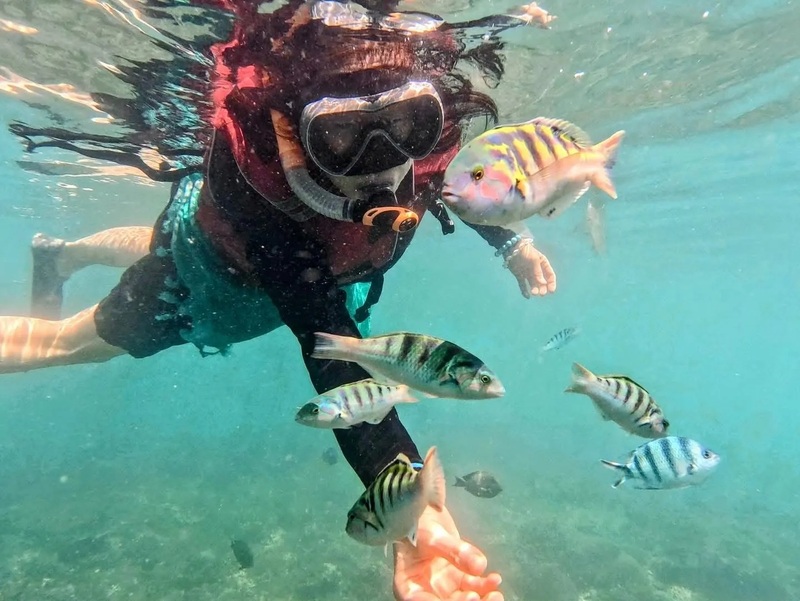 バリ島発　パダンバイ　シュノーケリング＆文化巡りツアー
