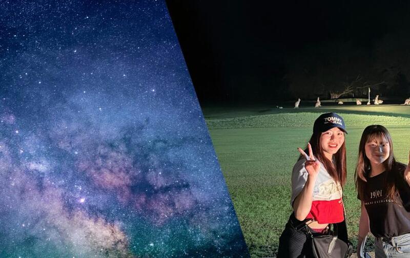 ケアンズ発 星空鑑賞＆野生動物探しツアー