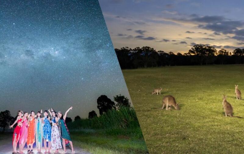 ケアンズ発 星空フォト＆夜行性動物探しツアー