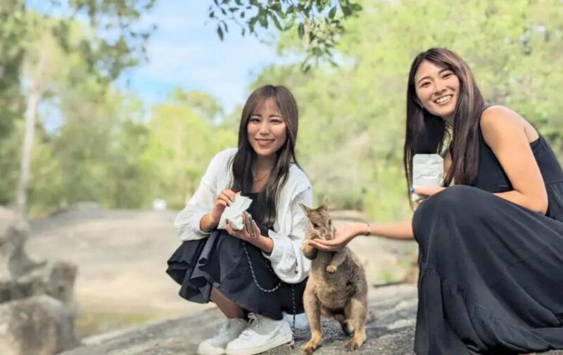 ケアンズ発 野生動物触れ合い体験ツアー