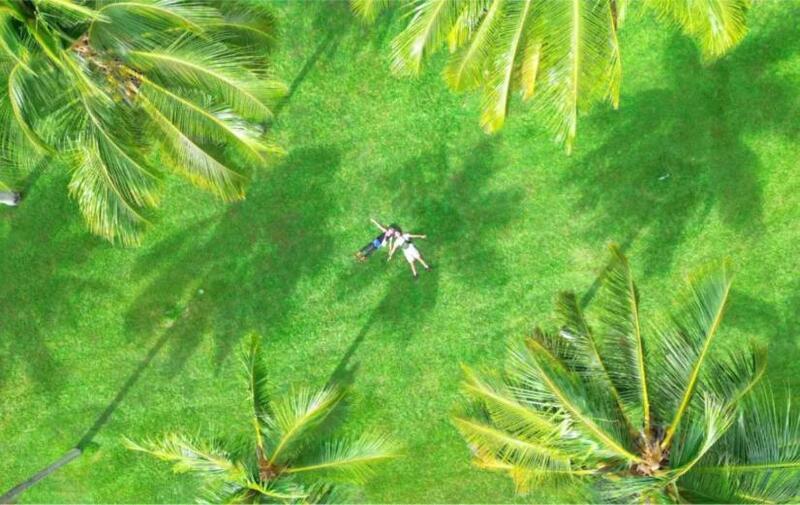 ケアンズ発 ポートダグラス＆選べるモスマン渓谷・ワイルドライフハビタット