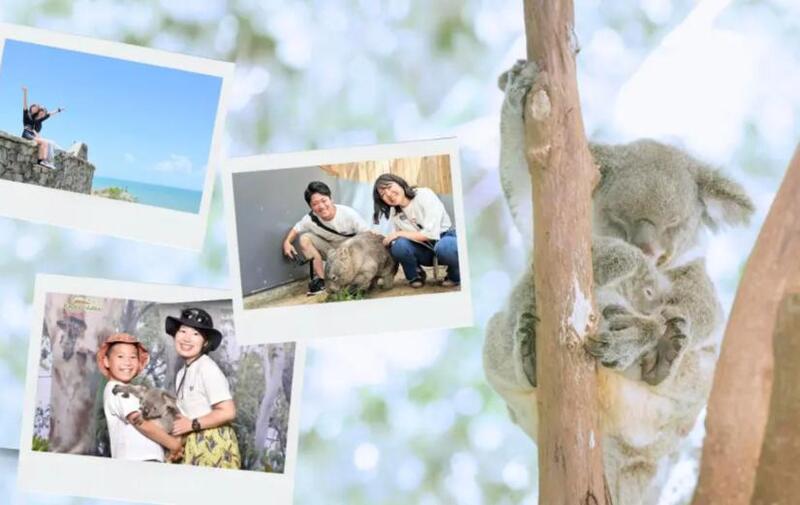 ケアンズ発 ハートレイズ動物園半日ツアー＆海の絶景フォトスポット