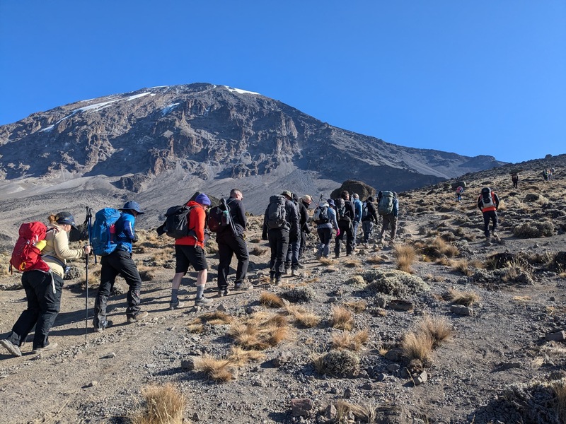 モシ発　英語ガイドと挑む　マラングルート　キリマンジャロ登山7日間