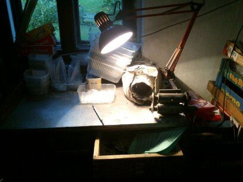 1117B②1948年チェコビンテージ蝶々図鑑 ジャンクジャーナル ボタン