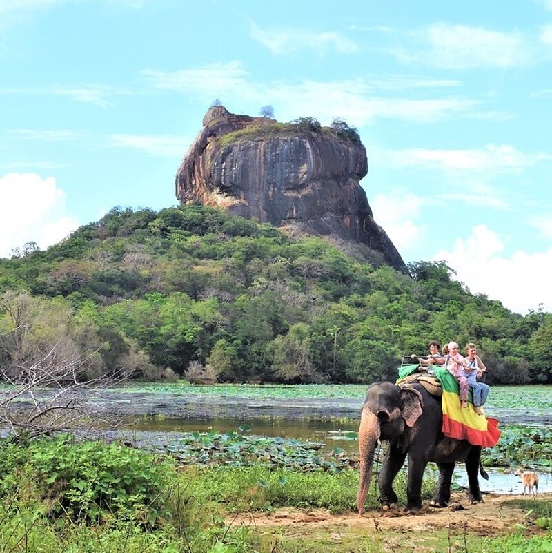 コロンボ発　世界遺産シーギリヤロック1日観光