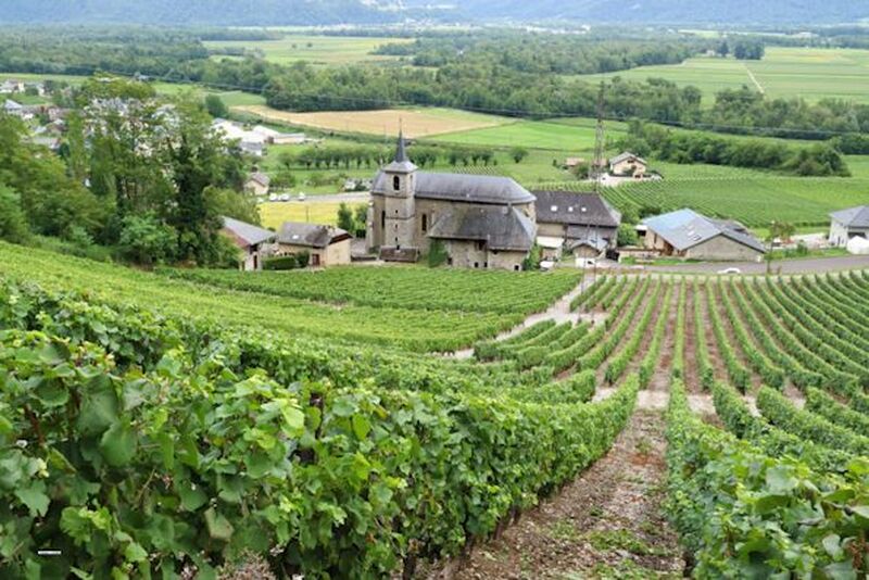 リヨン発　サヴォワワイン1日ツアー