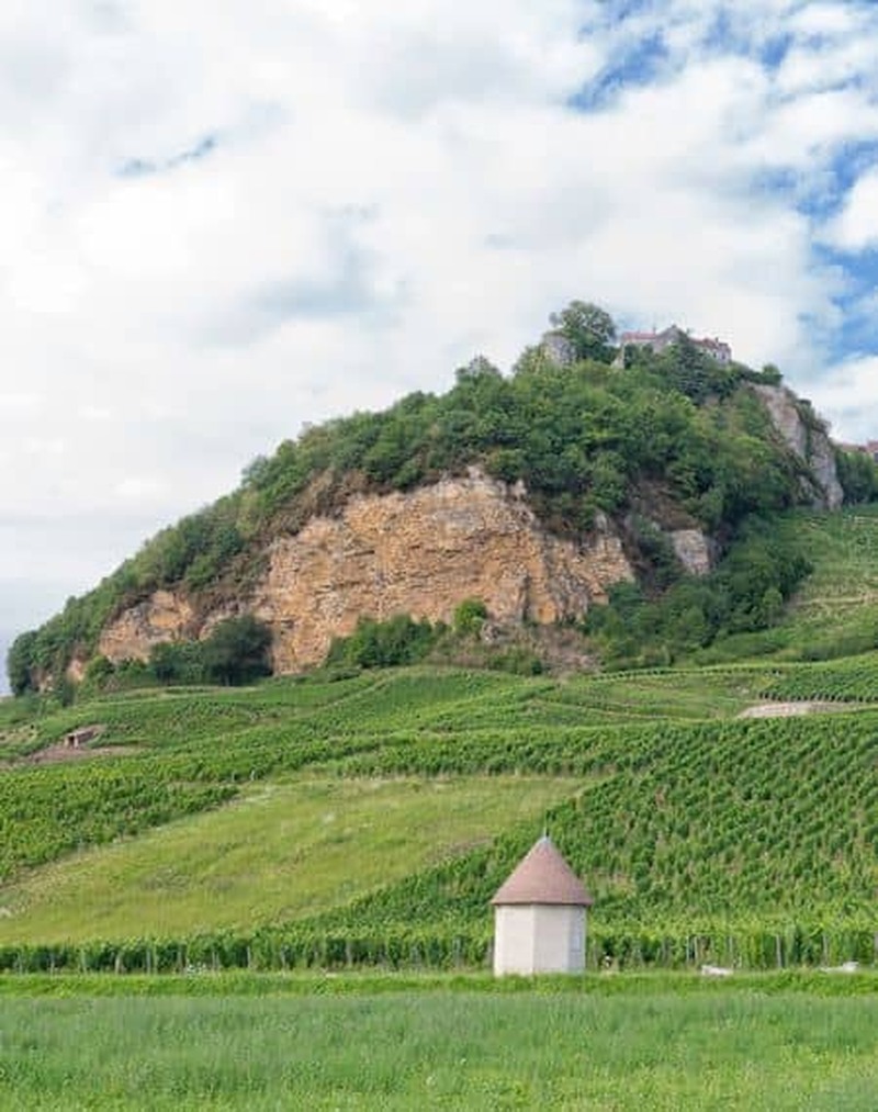 ディジョン発　ジュラ地方のワインとチーズ1日ツアー