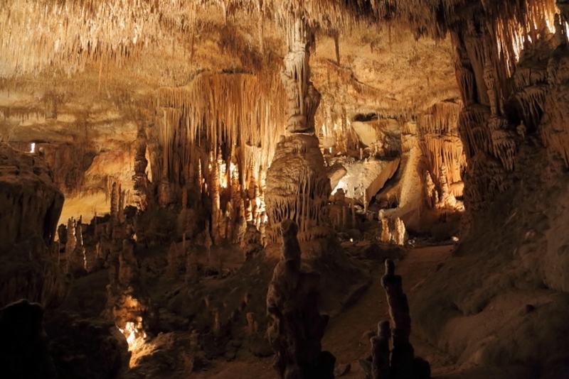 パルマ・デ・マヨルカ発　ドラック洞窟1日観光