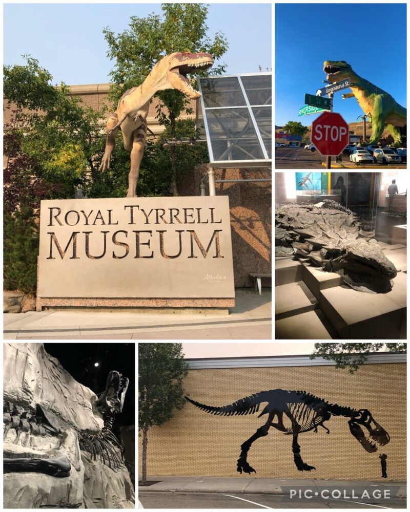 カルガリー発　世界3大恐竜博物館　ドラムヘラー恐竜ツアー