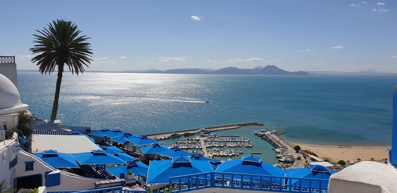 チュニス発　カルタゴ遺跡とシディ・ブ・サイド　ウォーキングツアー