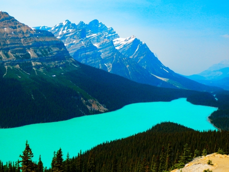 バンフ発 カナディアンロッキー6大湖巡りツアー - 【公式】たびチョク