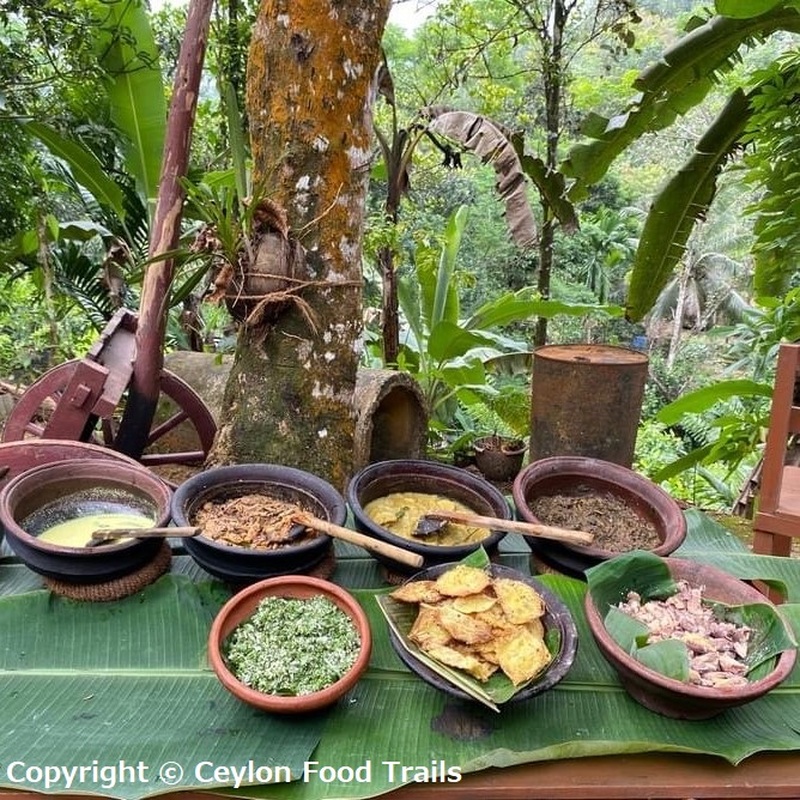 コロンボ発　スリランカのビレッジ＆自然体験と伝統食