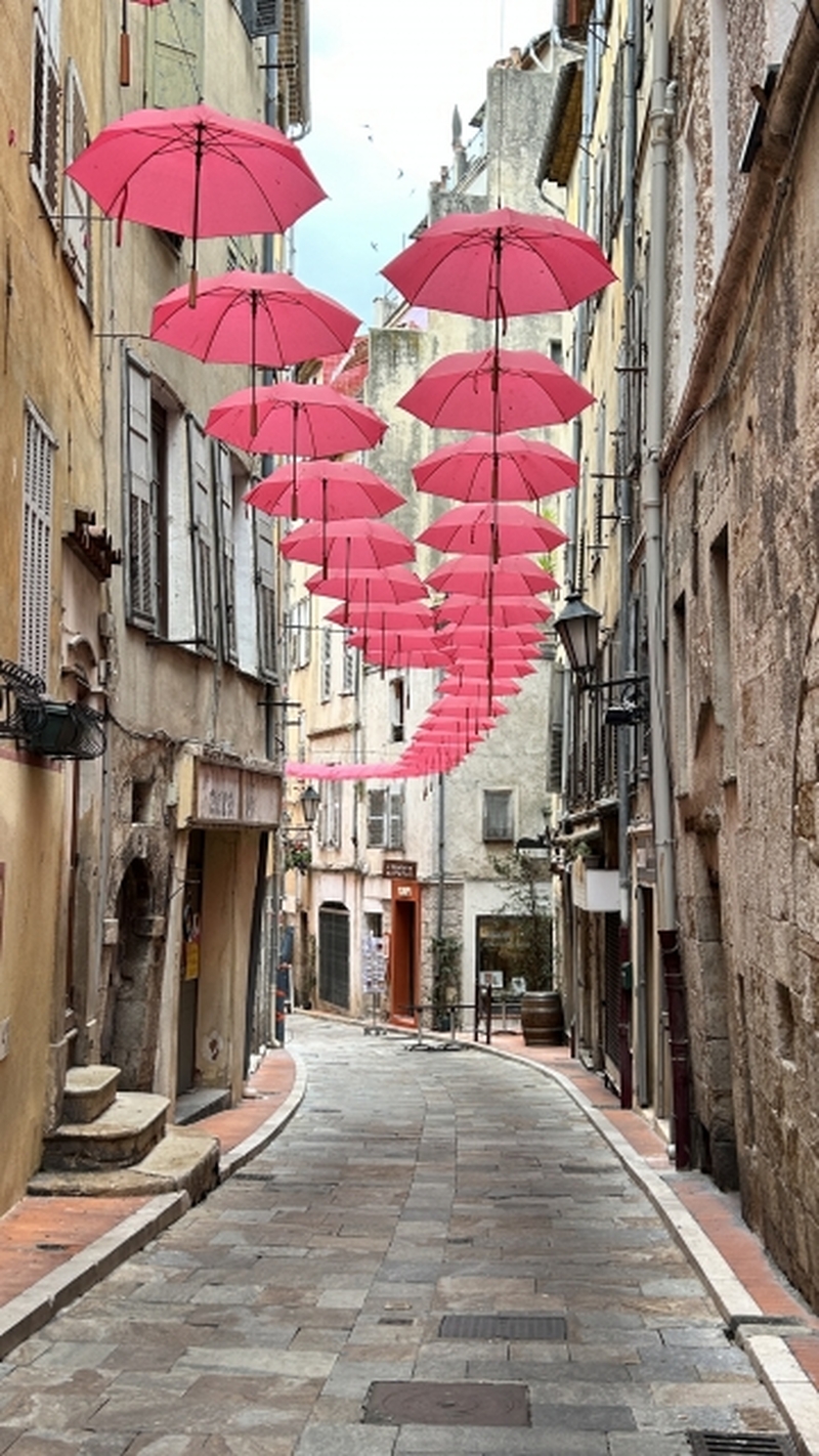 ニース発　芸術家ゆかりの街1日ツアー