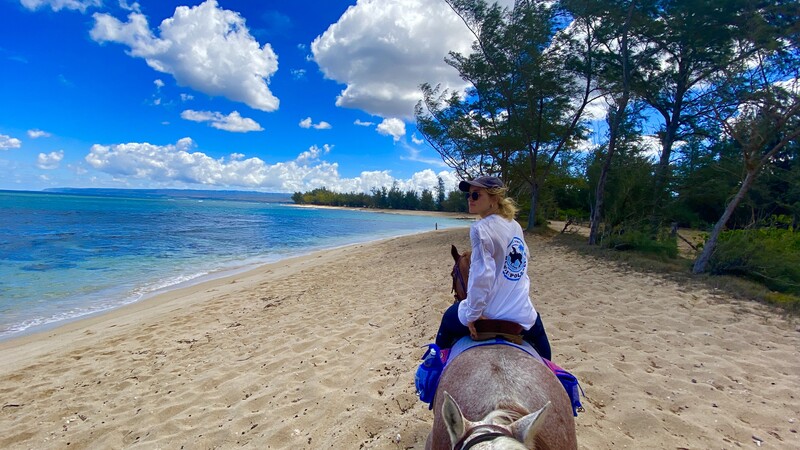 ホノルル発　海ガメウォッチング付き　ノースショアで乗馬＆ハレイワ散策