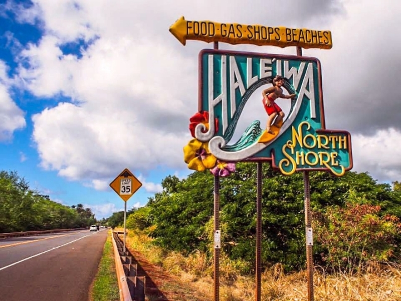 ホノルル　イルカウォッチングとノースショアの街を1日で満喫！