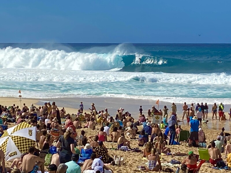 ホノルル オアフ島貸切チャーター観光 - 【公式】たびチョク|現地