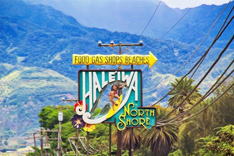 【冬季限定】ホノルル　ノースショアの街とビーチを1日で満喫！