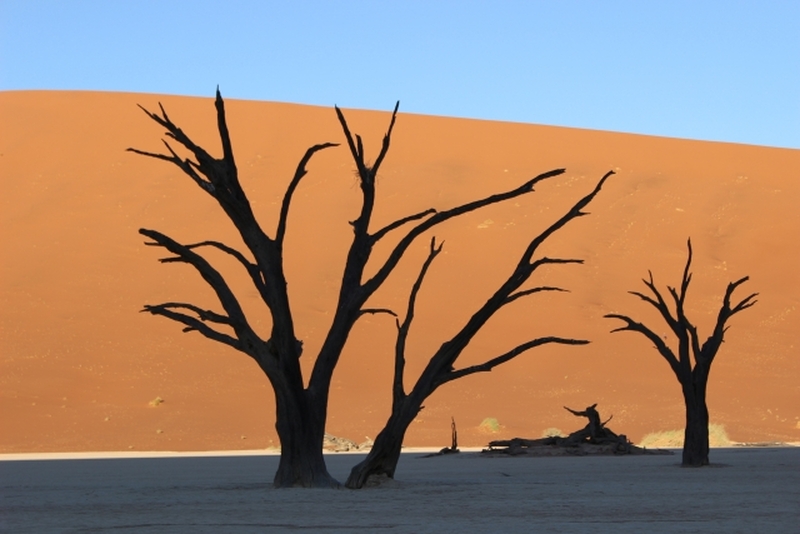 ウィントフック発 ナミブ砂漠4泊5日｜現地月曜・水曜発限定！混載・英語ガイド付き・シャトル利用のお手頃価格ツアー