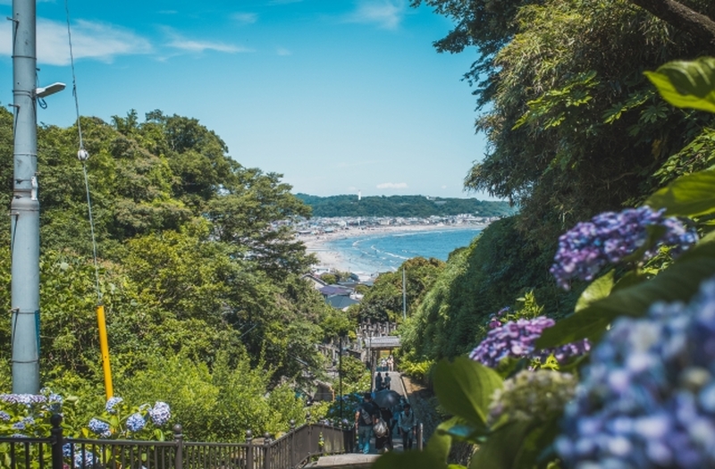 鎌倉坂ノ下地区ガイドツアー