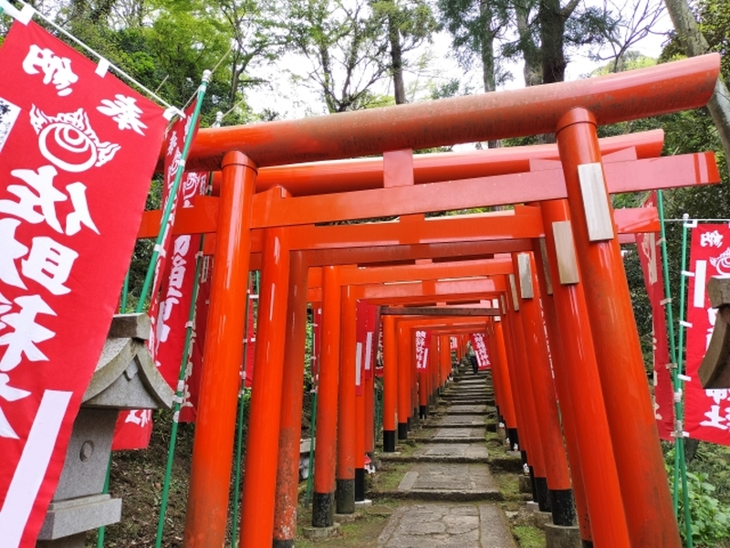 鎌倉佐助地区ガイドツアー