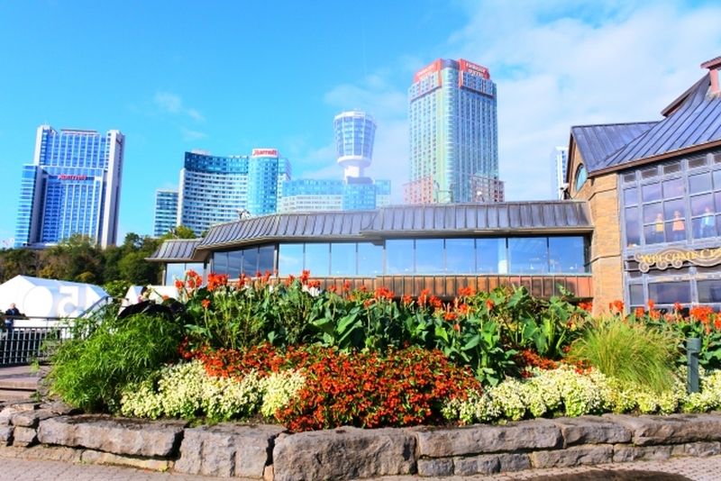 トロント空港➝ナイアガラの滝　片道送迎サービス